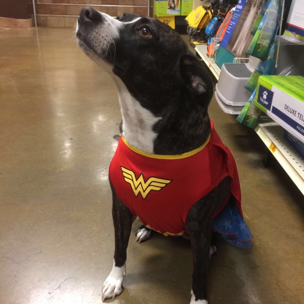 Meet your Posher, Luli&Sharon - Picture 6 of 8